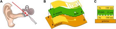 Bio-Compatible Sensor for Middle Ear Pressure Monitoring on a Bio-Degradable Substrate